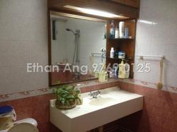 Blk 53 Pipit Road (Geylang), HDB Executive #97144352